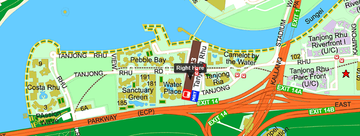 Tanjong Rhu Road GLS site showing position relative to Tanjong Rhu MRT and surrounding existing condos including Pebble Bay, Sanctuary Green, Water Place, and the Singapore Swimming Club